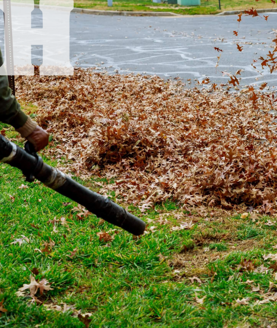 Debris and Brush Removal by Hearn in Brooks GA