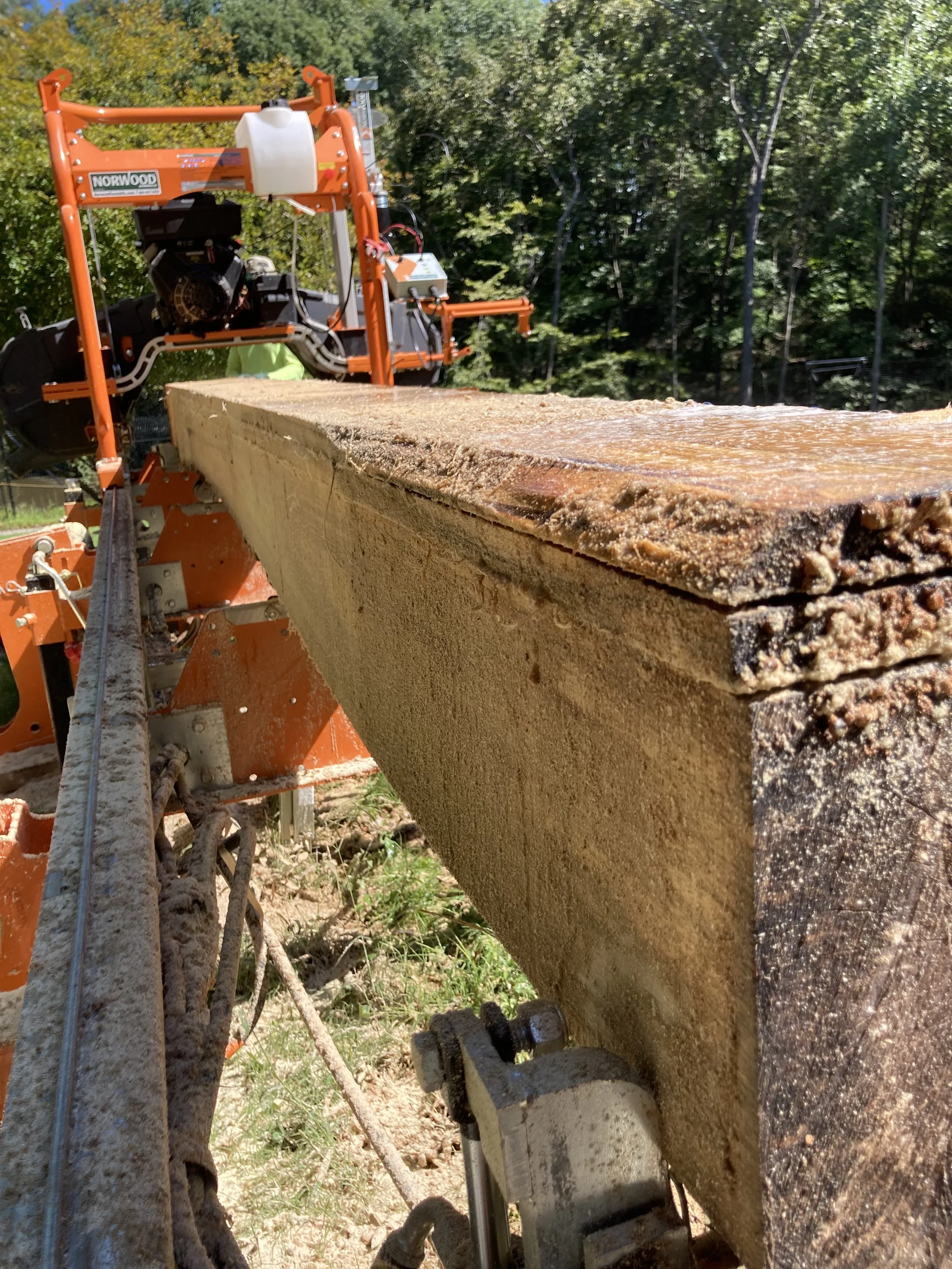 Abba and Sons Custom Millworks tree service work