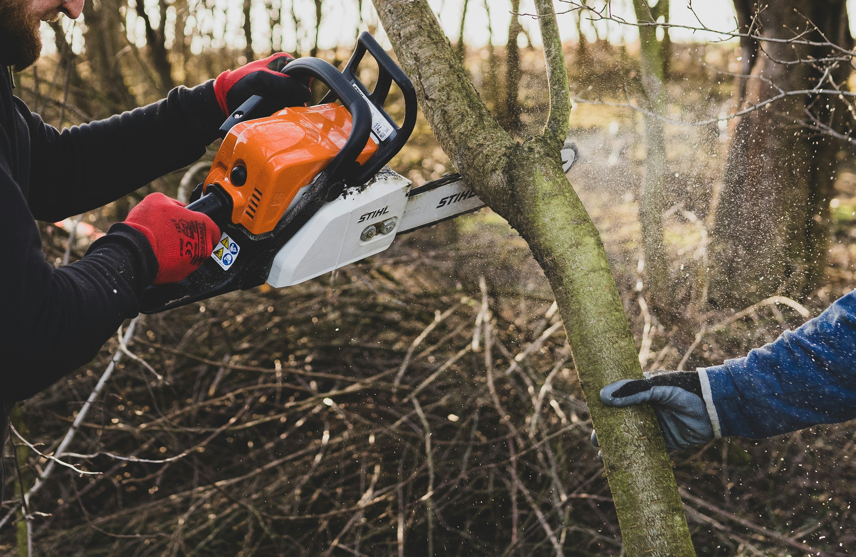 Riverside Tree Service tree service work