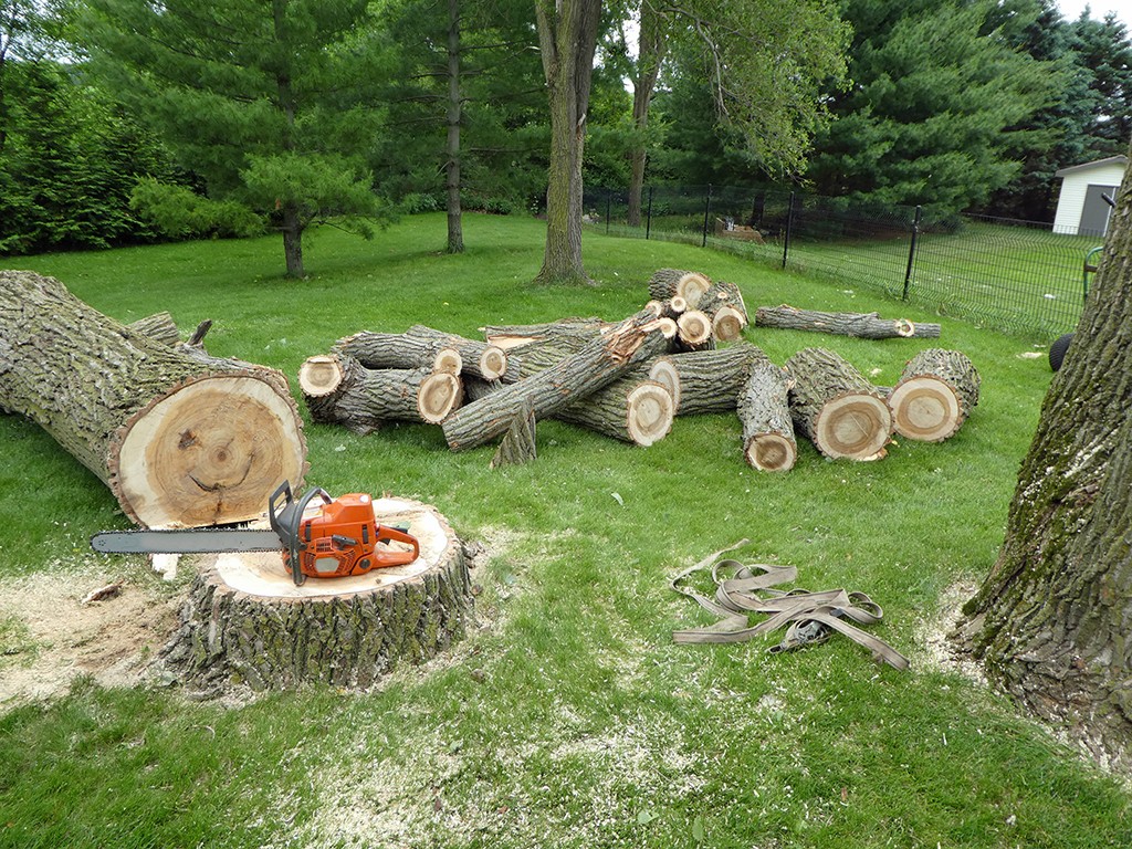 Riverside Tree Service tree service work