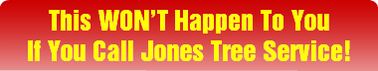 Photo of Jones Tree Service Inc.