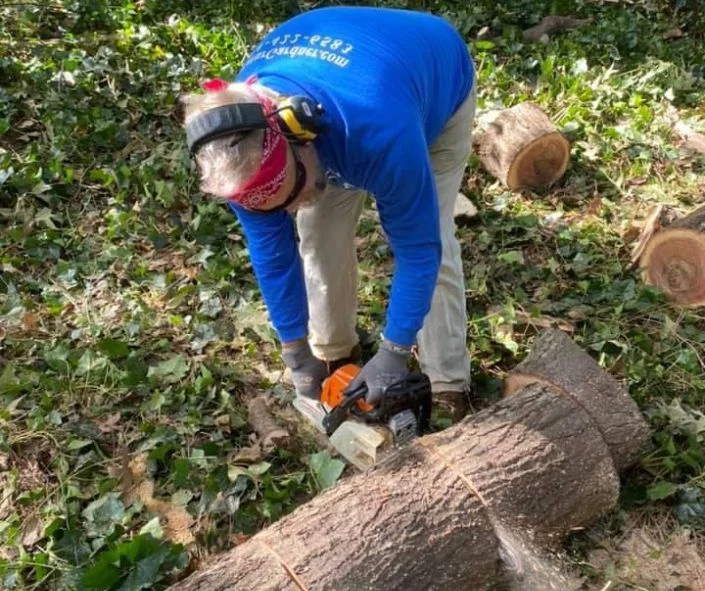 Avondale Estates Tree Removal