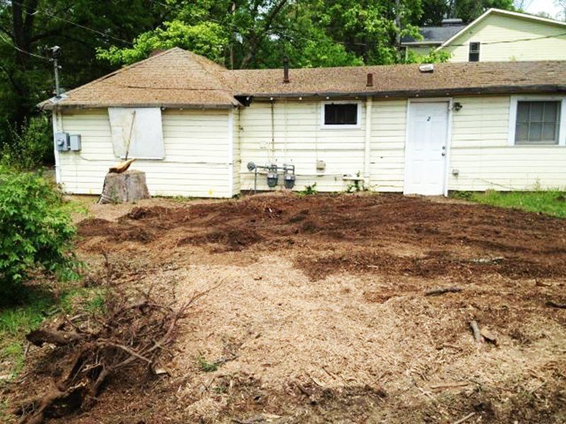G and g stump removal gallery 1920w