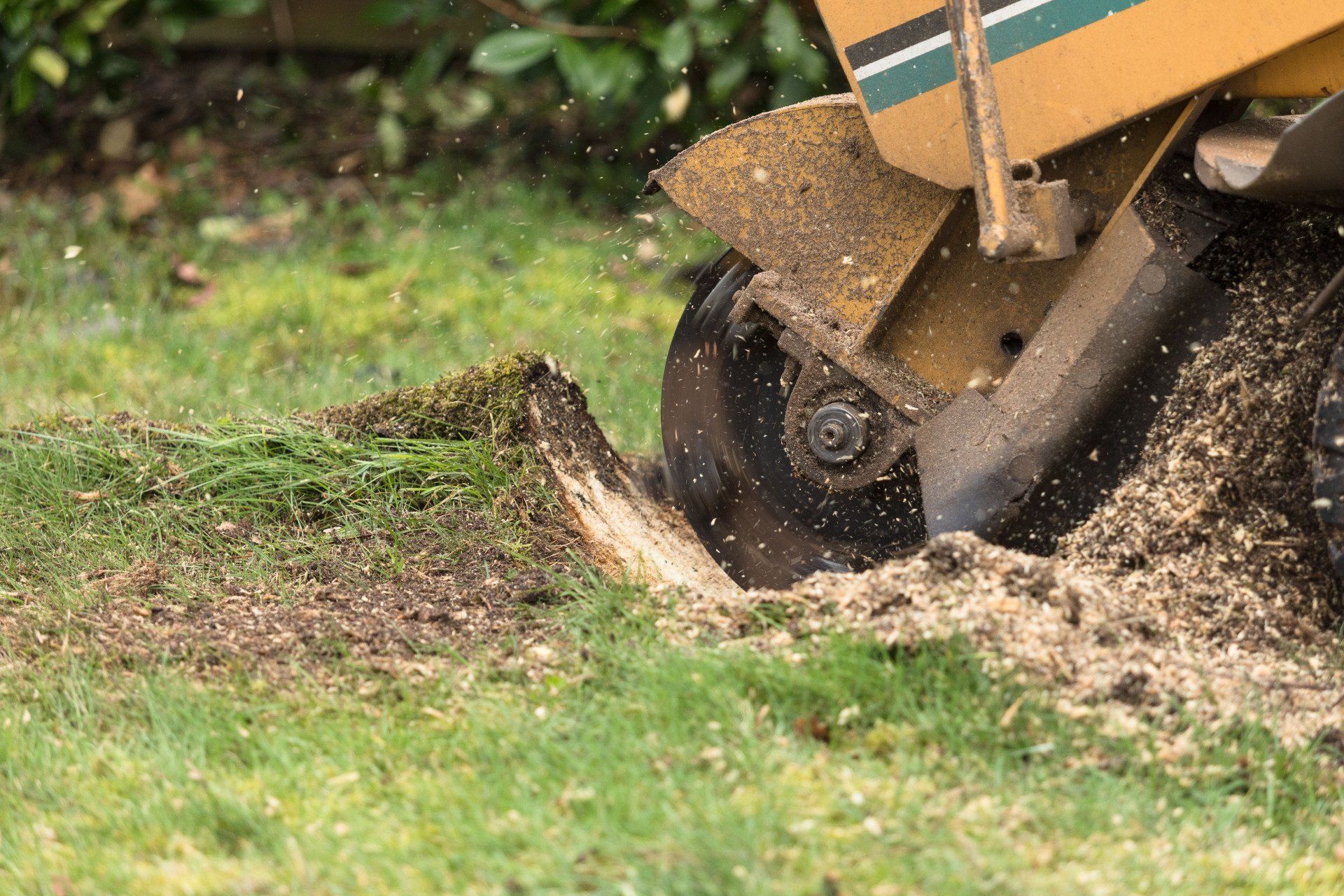 Photo of G and G Stump Removal
