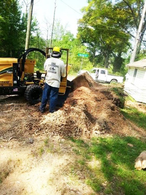 G and g stump removal gallery 1920w
