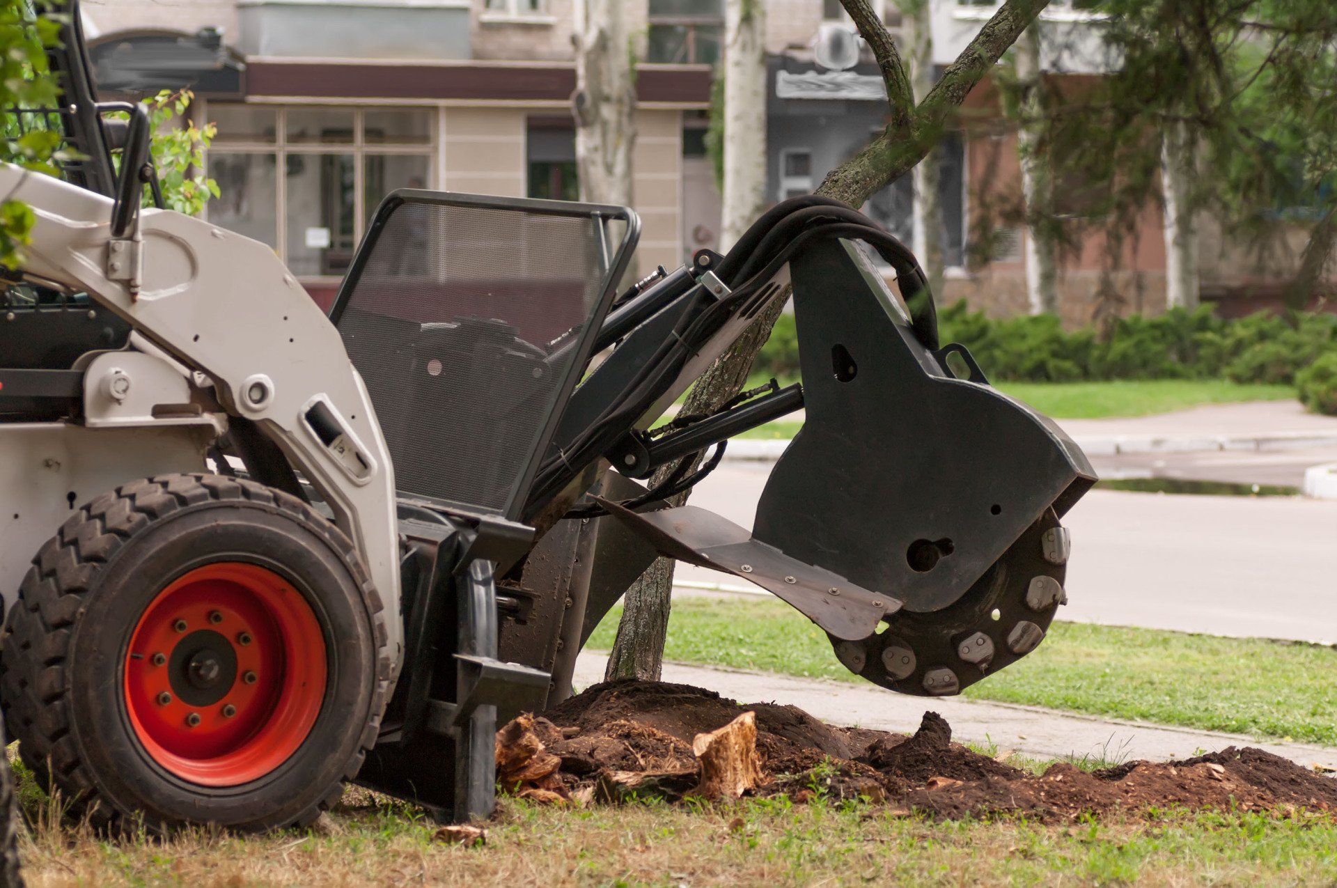G and g stump removal hero home 1920w