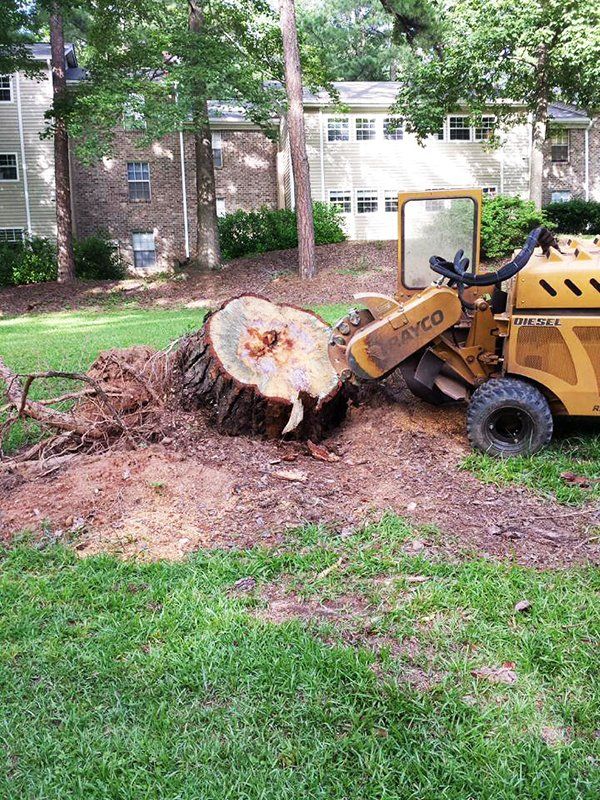 G and g stump removal gallery 1920w