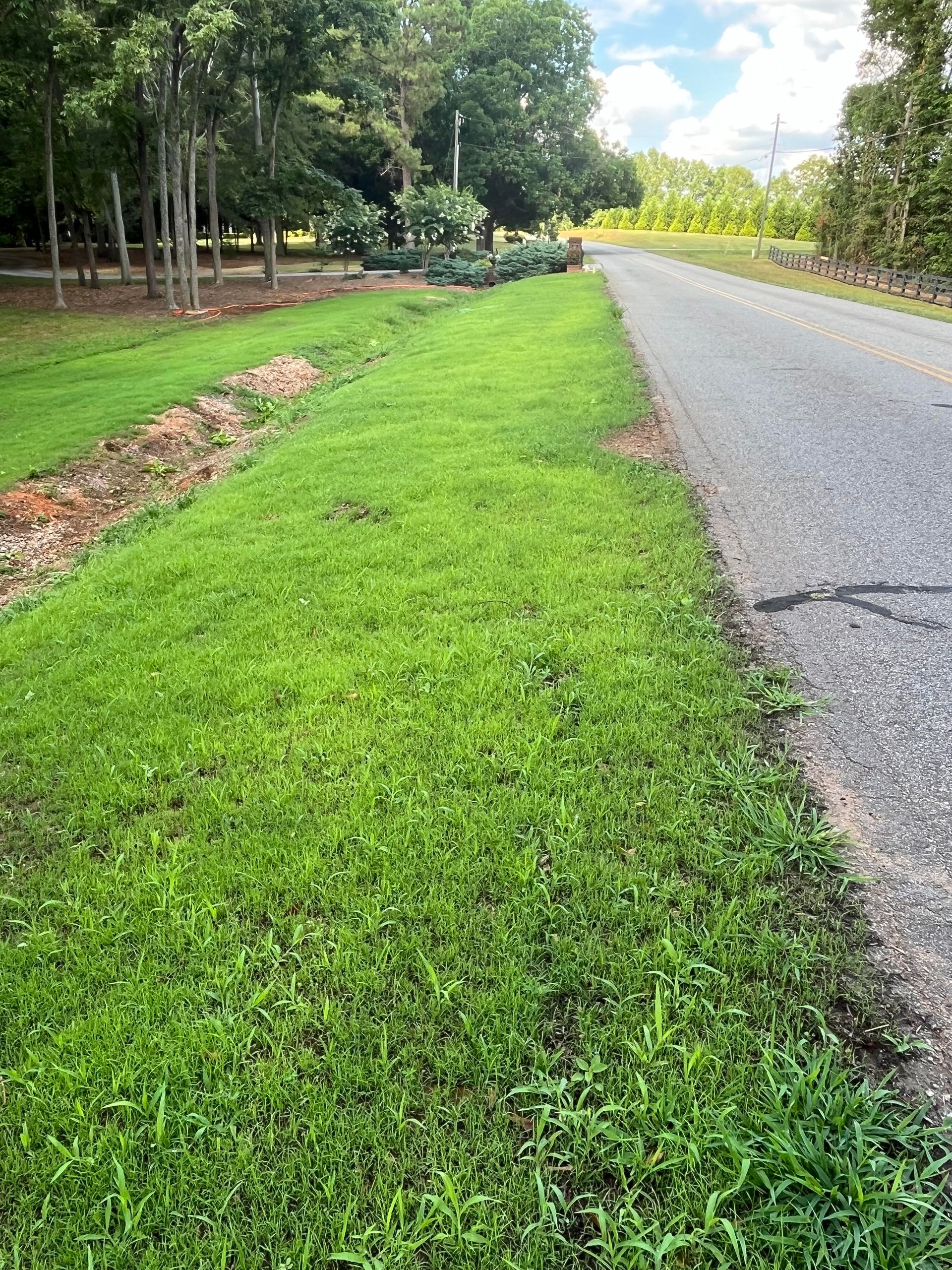 Photo of Elevate Hydroseeding