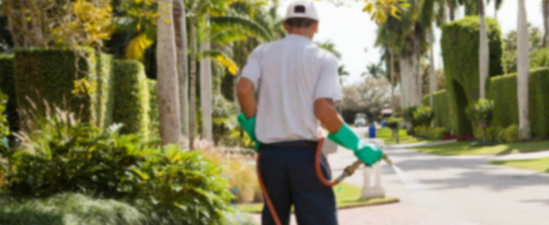Watering grasses