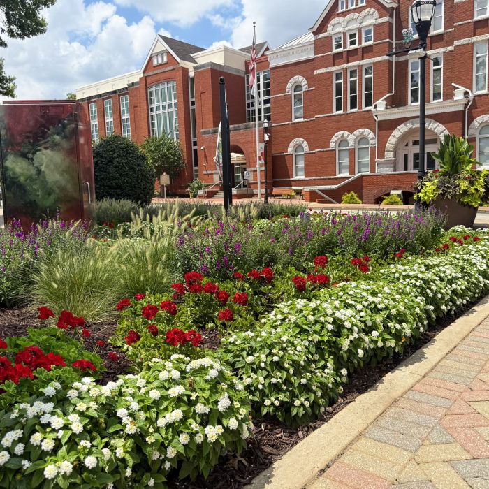 Town Square LR