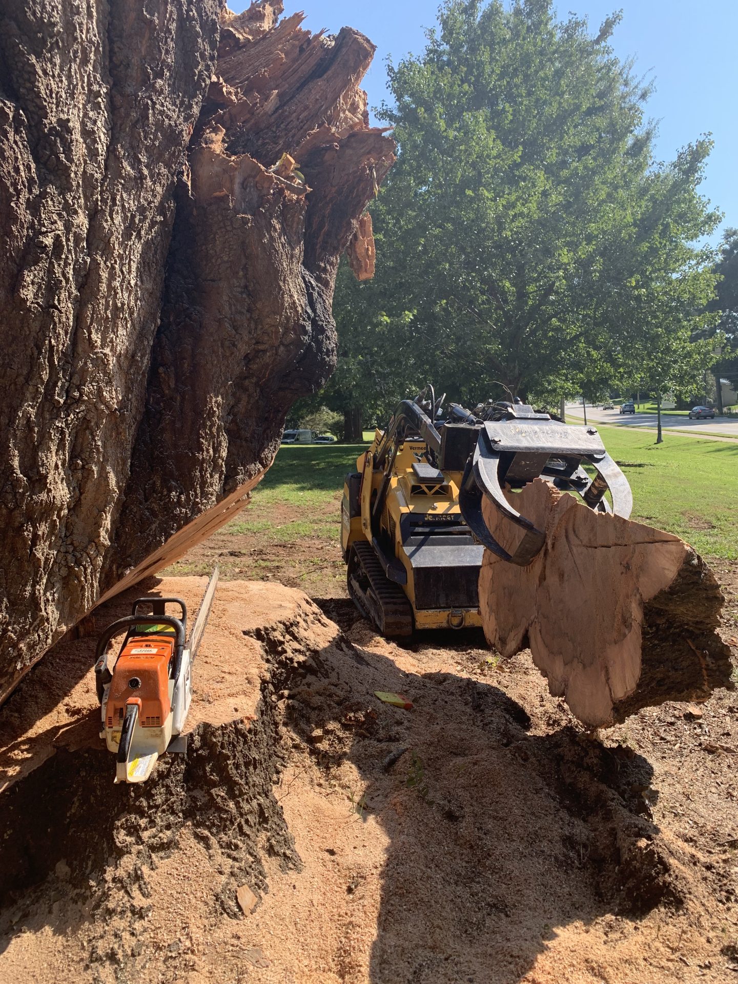 Arborscape Tree Care tree service work
