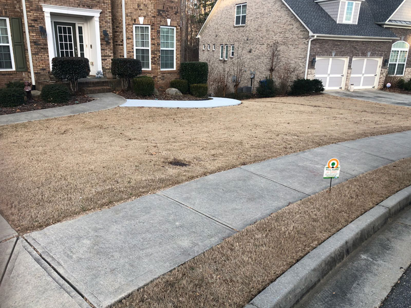 Photo of All Turf