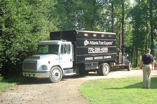 Atlanta Tree Arbors tree service work