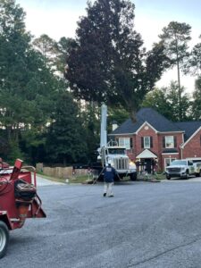 Aable John's Tree Service, Inc. tree service work