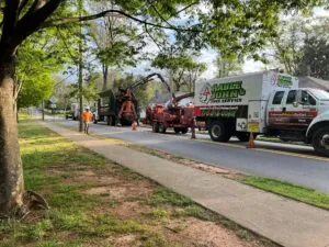 Aable John's Tree Service, Inc. tree service work