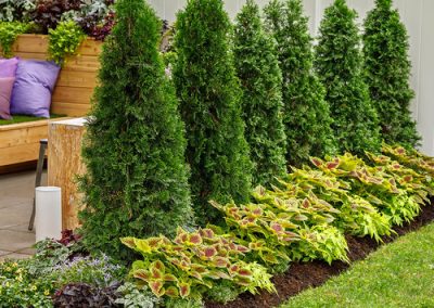 Photo of Legendary Landscaping Inc.