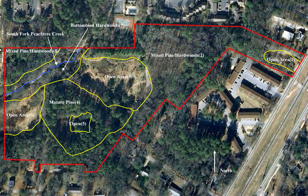 Urban tree forest plans