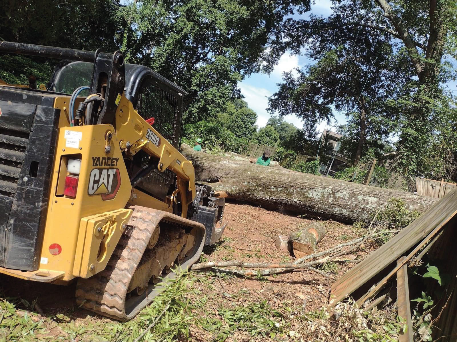 Lumberjacks Cutting Trees tree service work