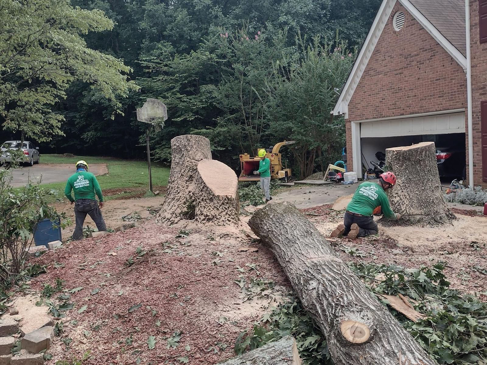 Lumberjacks Cutting Trees tree service work