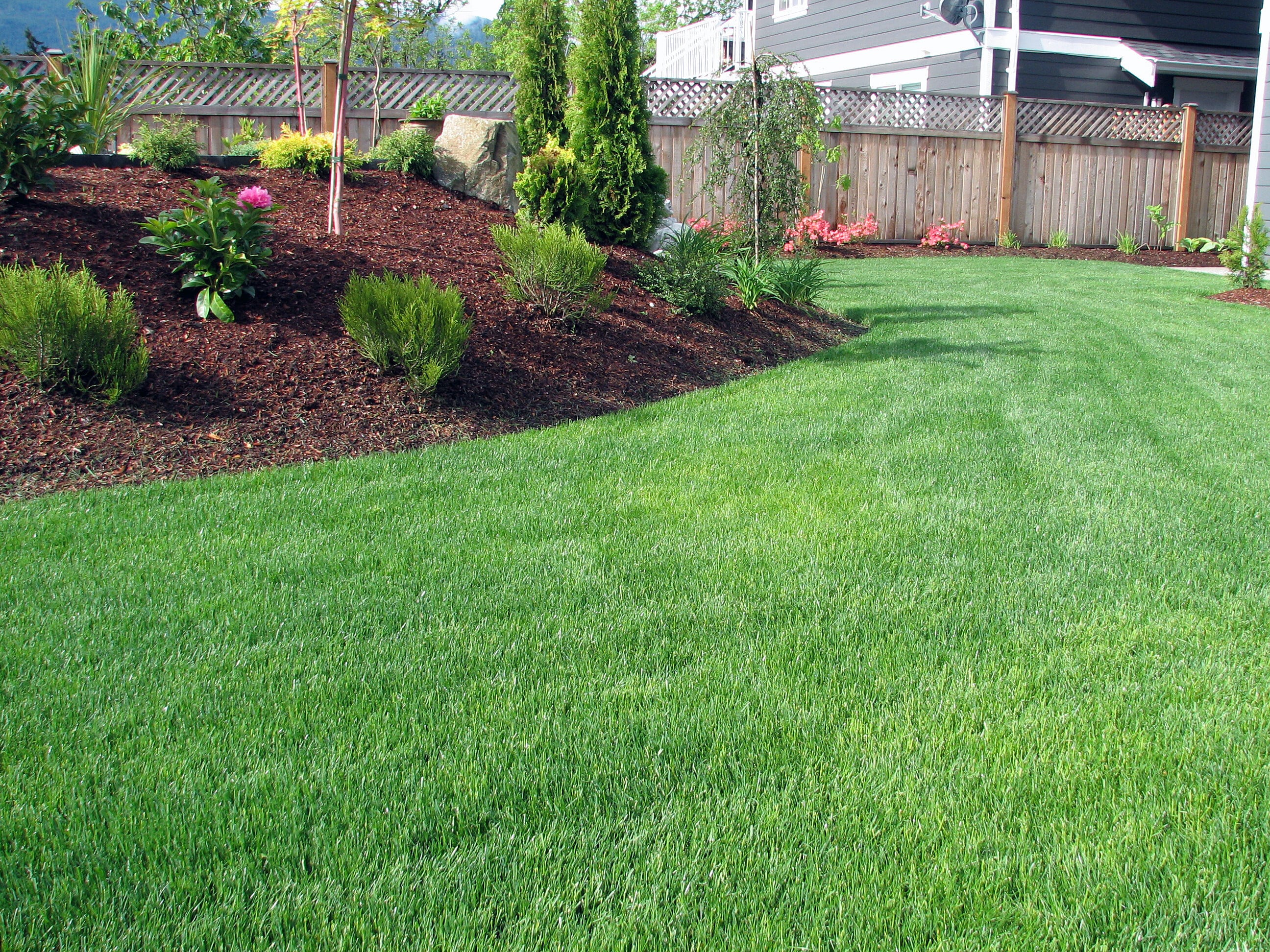 Photo of Top Turf Lawn Care and Pest Management