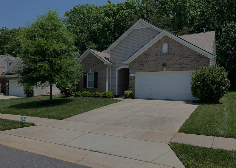 Top Turf Lawn Care and Pest Management tree service work