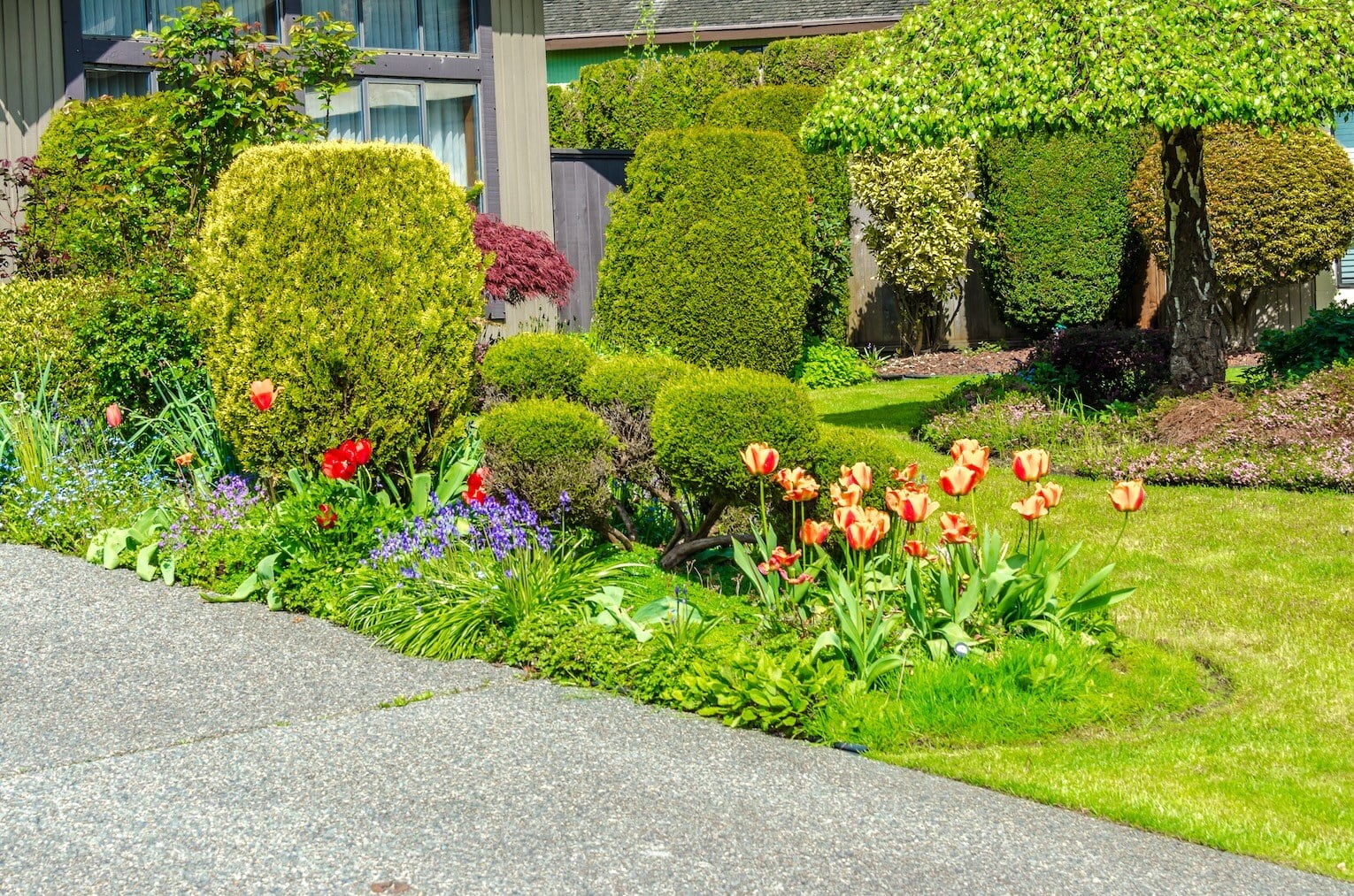 Top Turf Lawn Care and Pest Management tree service work