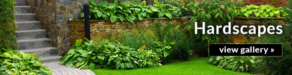 Hutcheson Horticultural Company - Landscaping Service tree service work