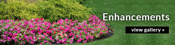 Hutcheson Horticultural Company - Landscaping Service tree service work