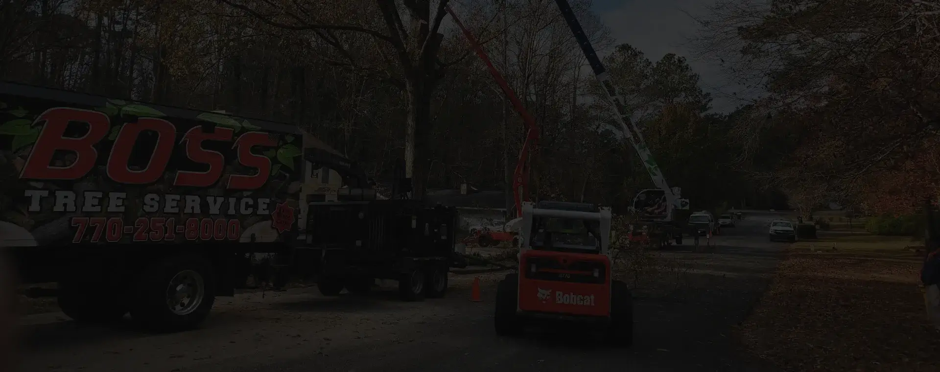 Boss tree service newnan ga