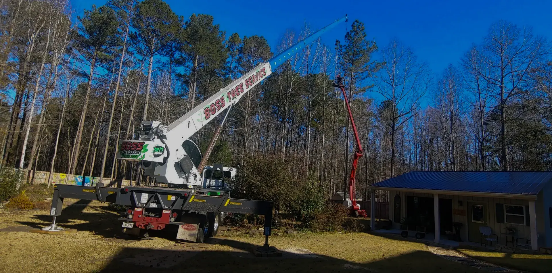 Tree service newnan ga