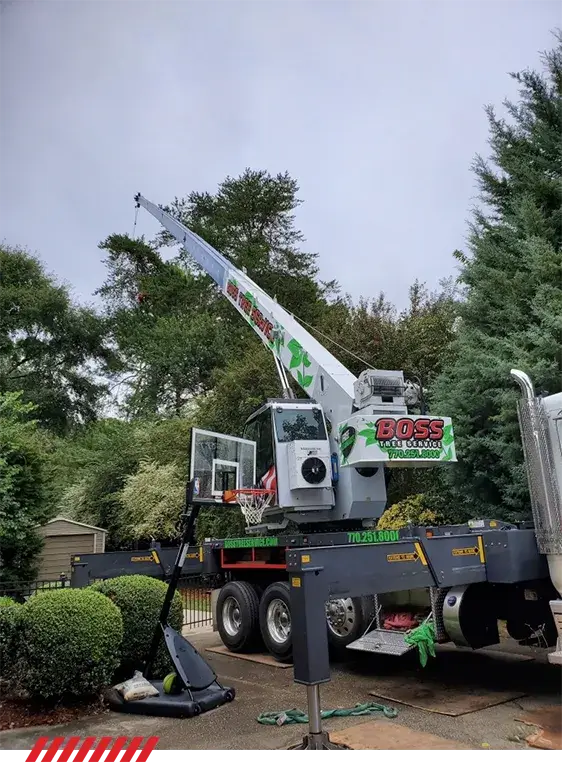 Tree removal job newnan ga