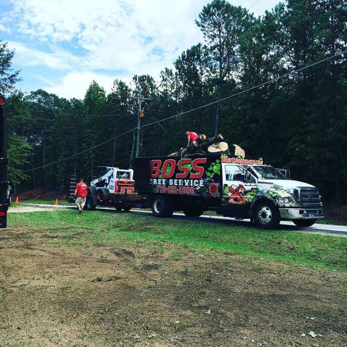 Tree service job newnan ga