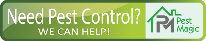 Need+Pest+Control 1920w