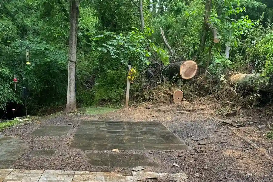 Photo of Oak Tree Service, LLC