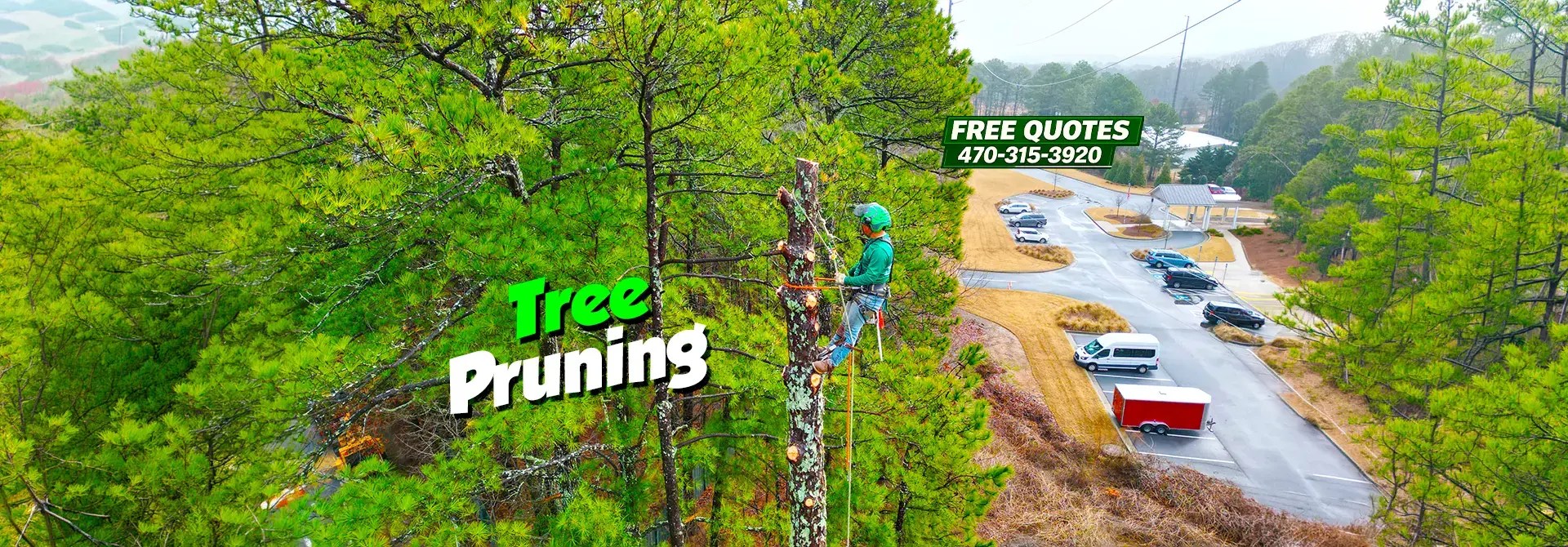 Photo of Resurgens Tree Service