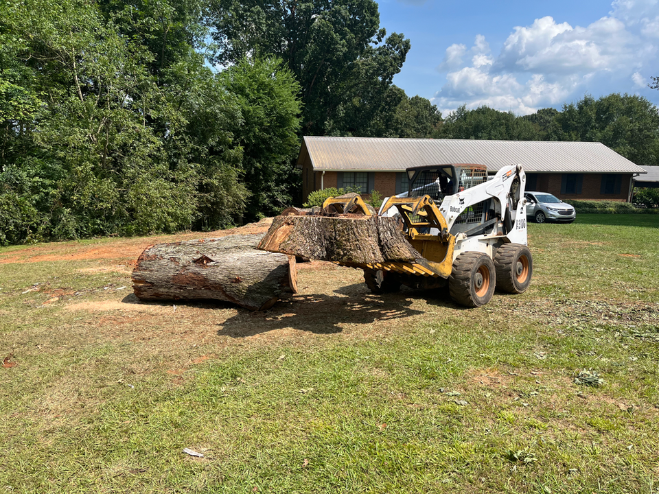 Photo of Southern Tree Company