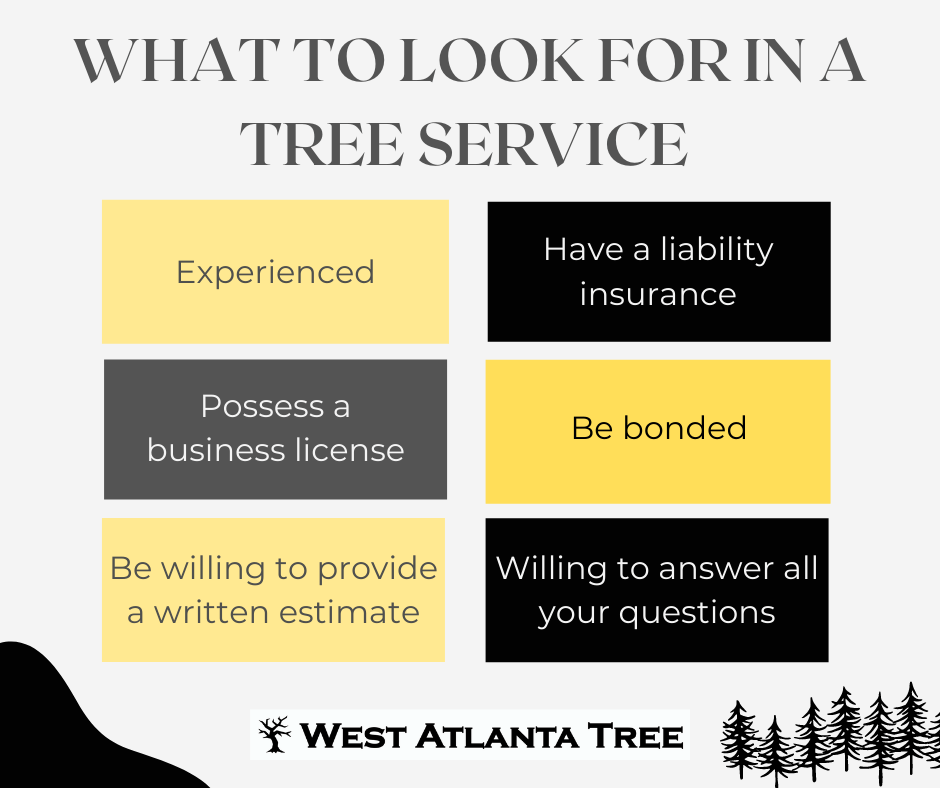 West+Atlanta+Tree+Service What+to+look+for+in+a+tree+service 1920w
