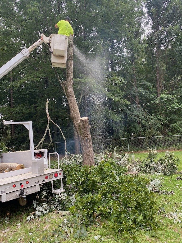 Tree+Removal+from+the+top+in+a+bucket+truck red 1920w