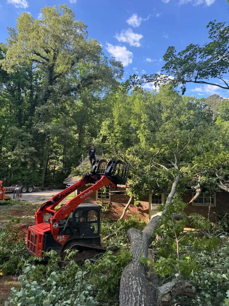 Tree Removal Cherokee County Georgia