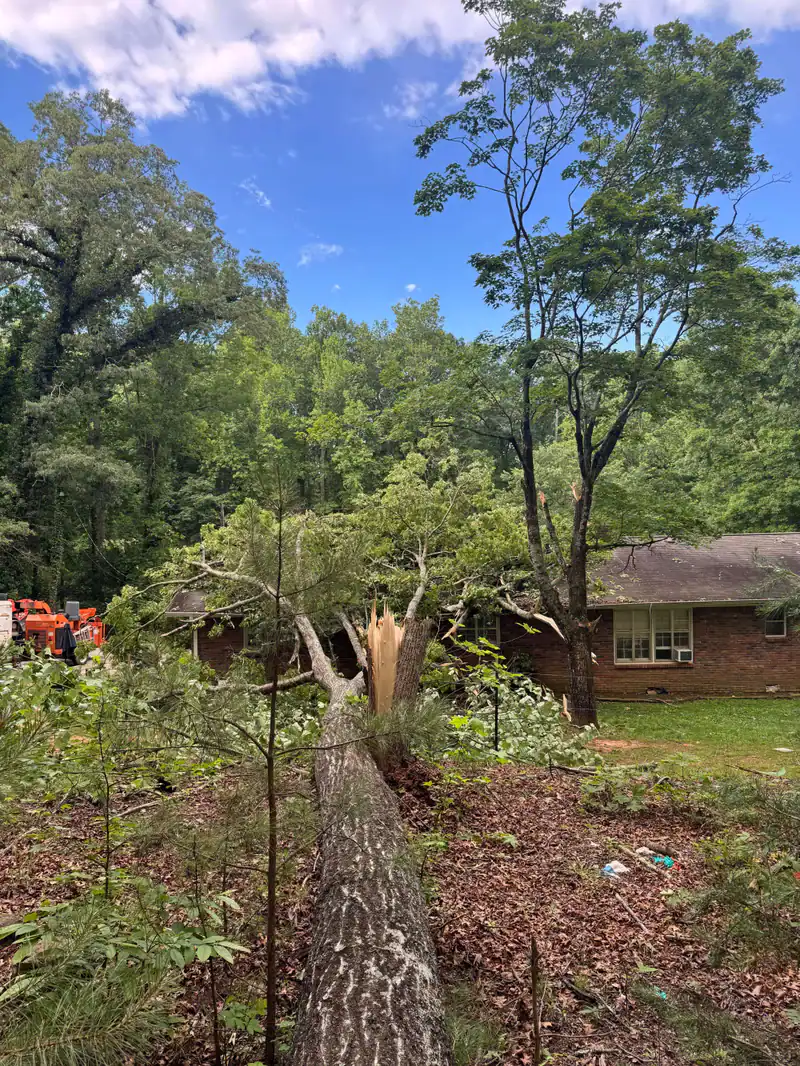 Fallen Tree House Damage Cherokee County Georgia