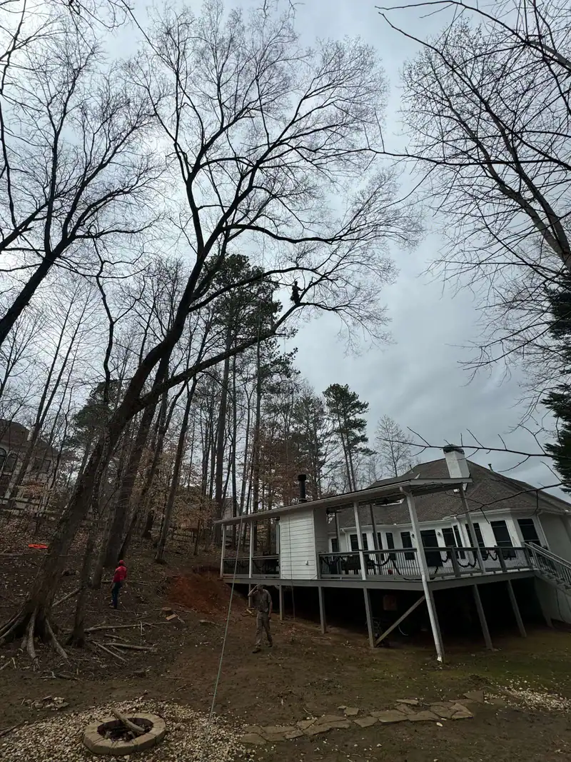Rope Swing Backyard Cherokee County Georgia