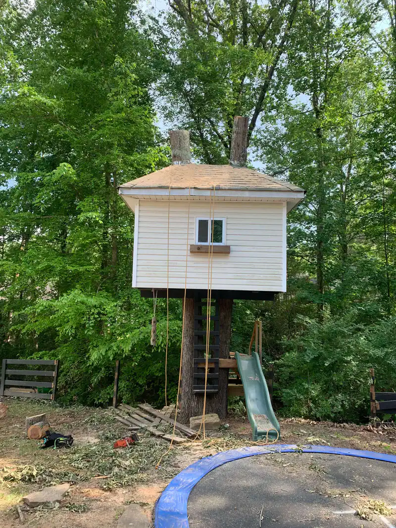 Backyard Cherokee County Georgia