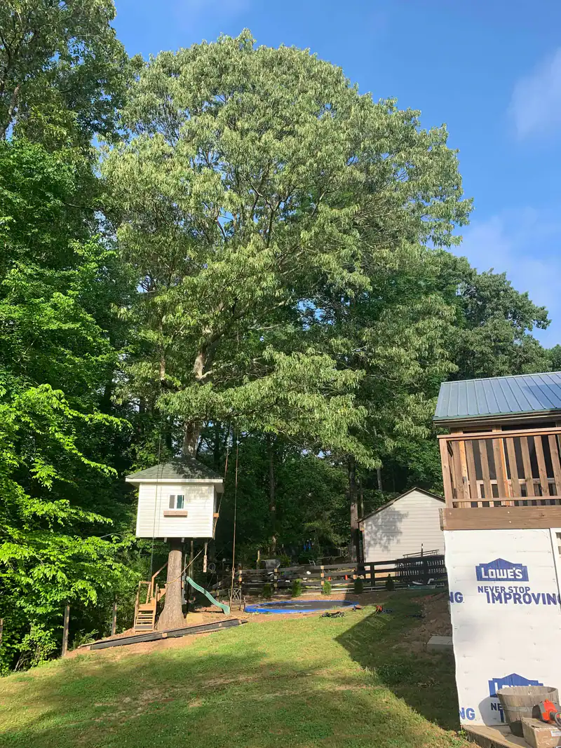 Backyard Scene Cherokee County Georgia