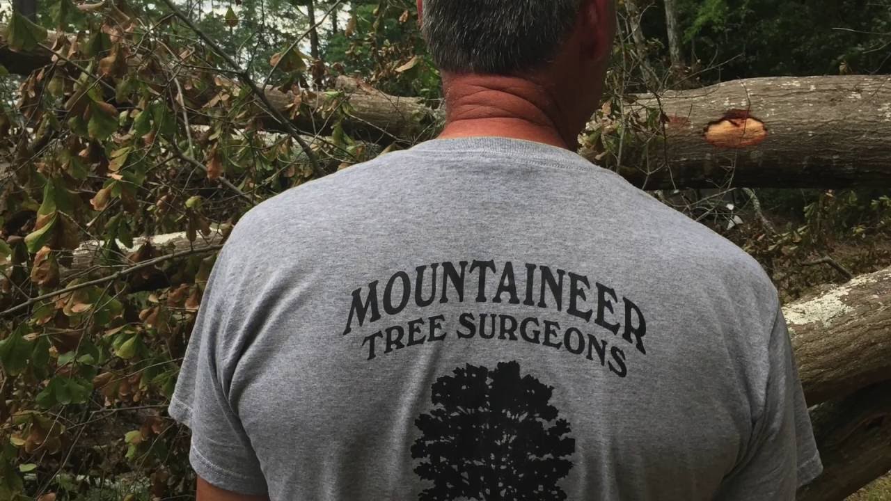 Photo of Mountaineer Tree Service
