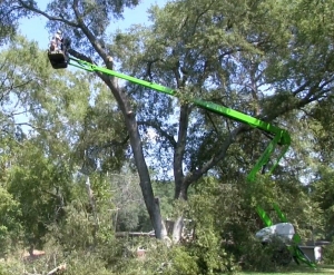 Photo of Chipper Trees LLC