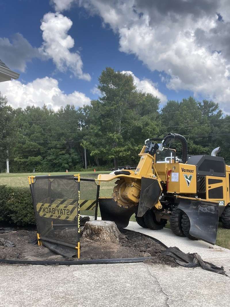 Stump grinding