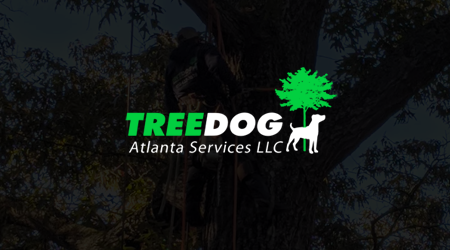 Tree trimming service box 1920w