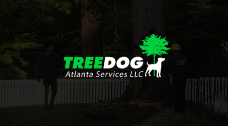 Tree trimming service box over 3487d51d 1920w