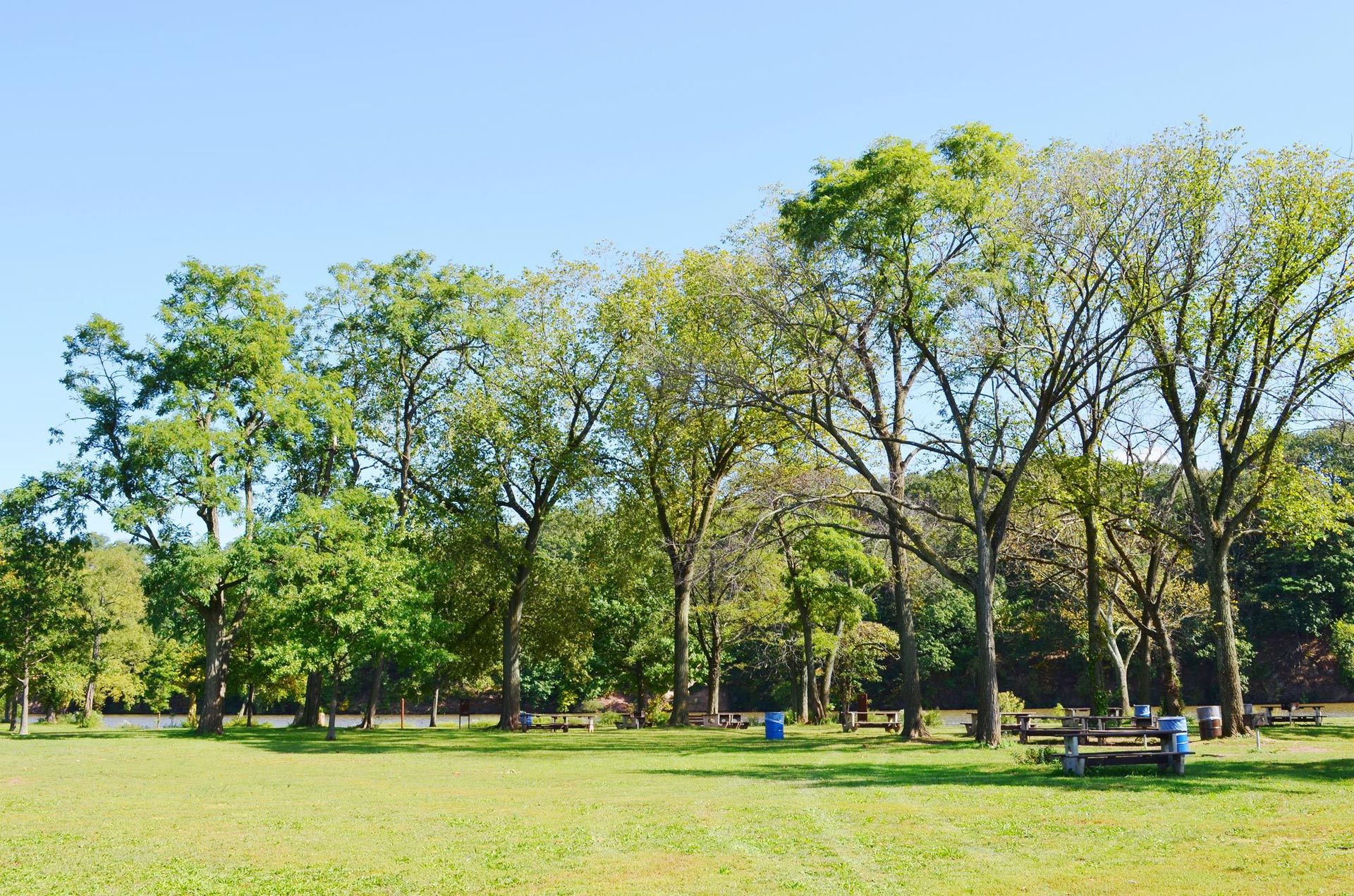 Photo of Precision Tree Service