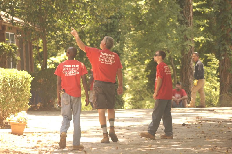 Marietta tree removal